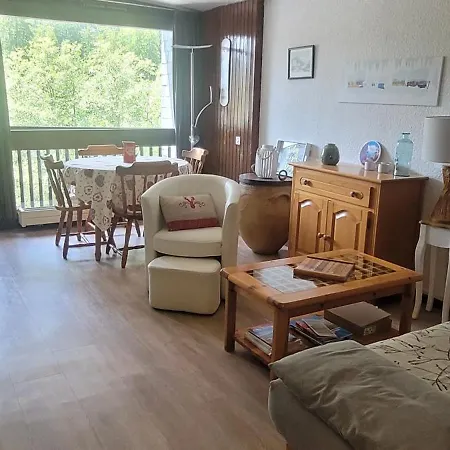 Grand Pres Gaillands 公寓 霞慕尼