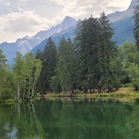 Grand Pres Gaillands Appartement Chamonix